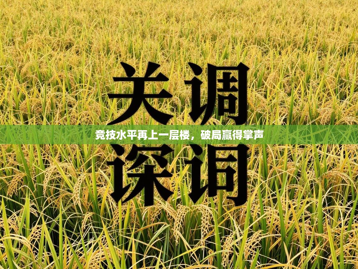 开云体育app下载安装免费-竞技水平再上一层楼，破局赢得掌声  第3张