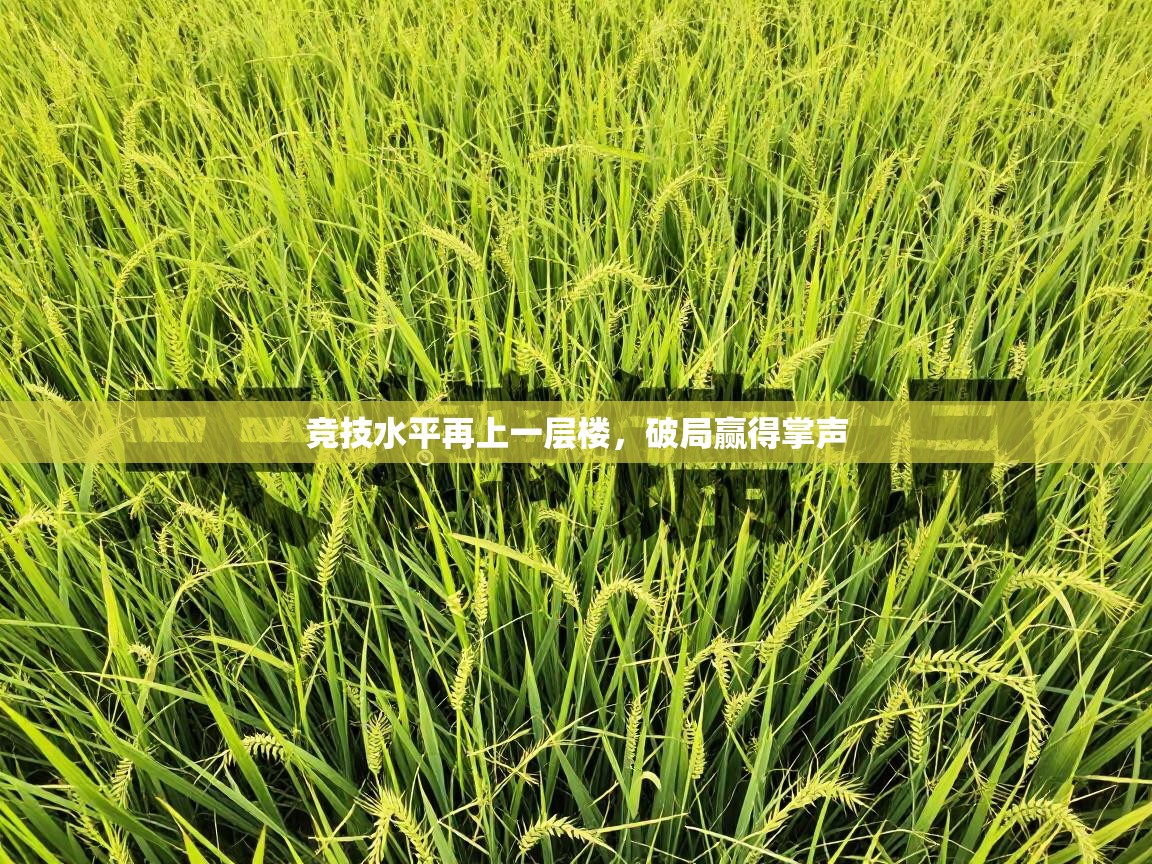 开云体育app下载安装免费-竞技水平再上一层楼，破局赢得掌声  第4张