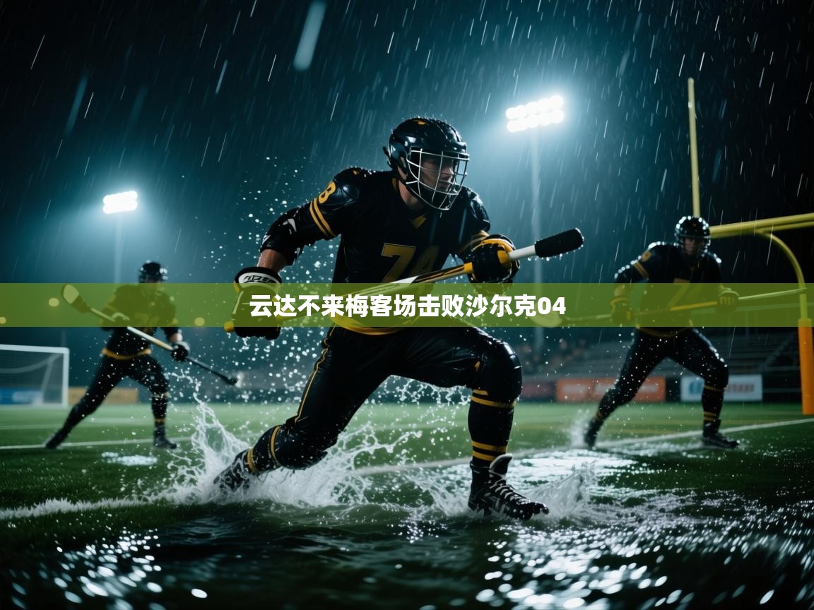 开云体育入口手机版-云达不来梅客场击败沙尔克04  第2张