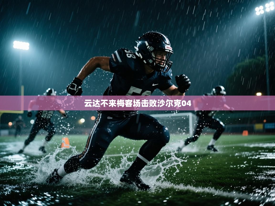 开云体育入口手机版-云达不来梅客场击败沙尔克04  第3张