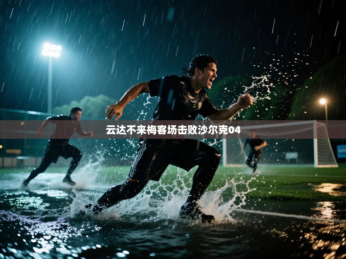 开云体育入口手机版-云达不来梅客场击败沙尔克04  第4张