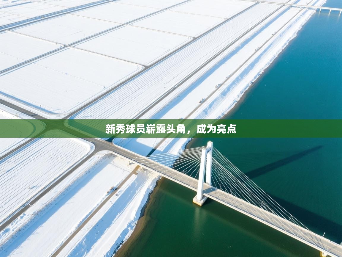 开云体育登录入口网址-新秀球员崭露头角，成为亮点  第4张