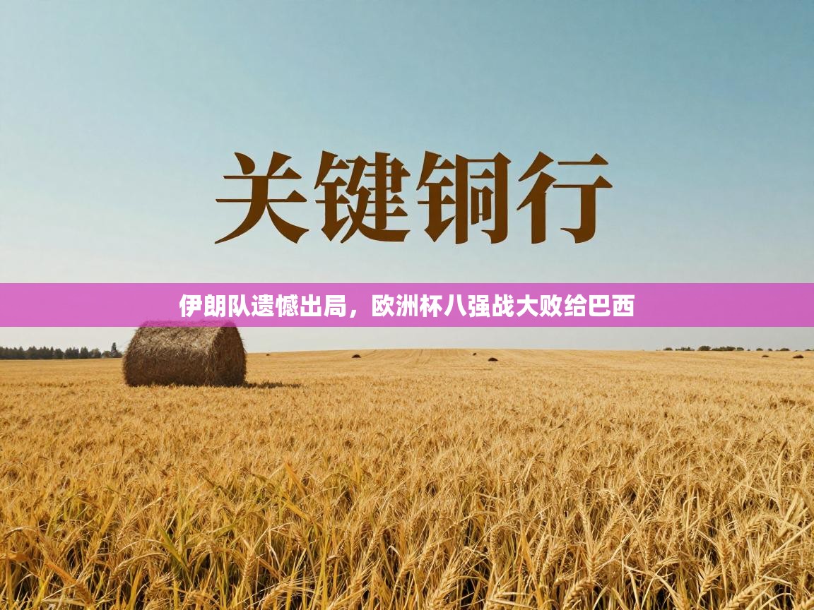 云开体育官网入口登录网页-伊朗队遗憾出局，欧洲杯八强战大败给巴西  第1张