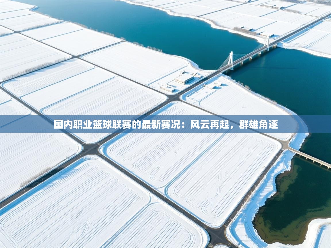 云开体育官网入口登录网页-国内职业篮球联赛的最新赛况：风云再起，群雄角逐  第1张