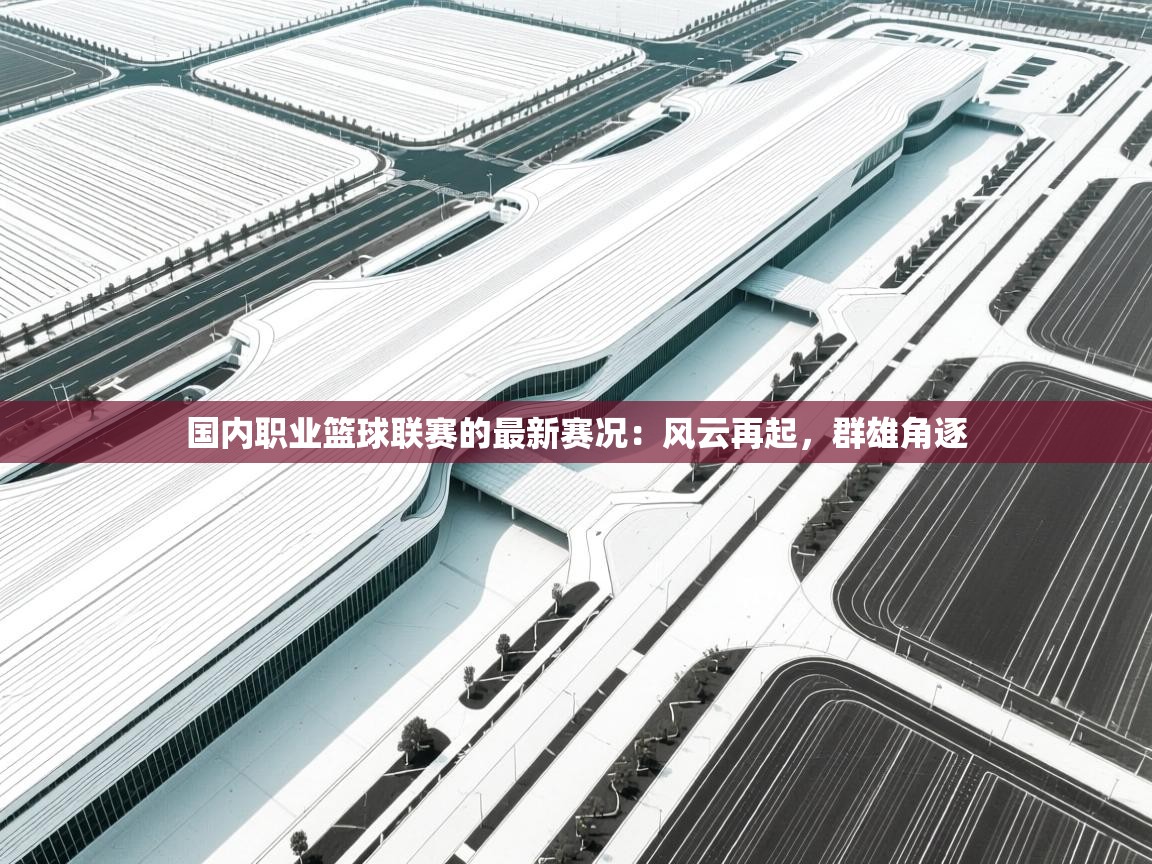 云开体育官网入口登录网页-国内职业篮球联赛的最新赛况：风云再起，群雄角逐  第2张