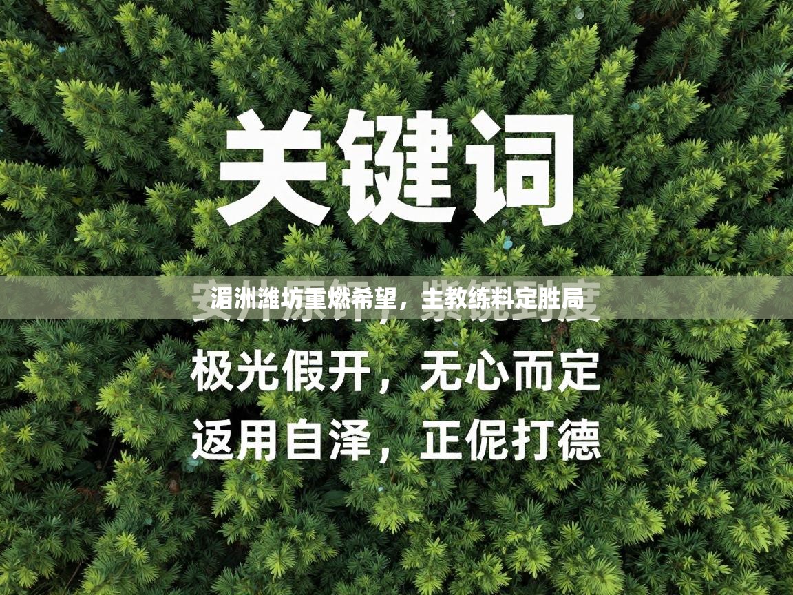 开云体育app投诉-湄洲潍坊重燃希望，主教练料定胜局  第1张