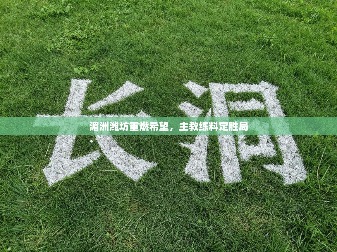 开云体育app投诉-湄洲潍坊重燃希望，主教练料定胜局  第2张