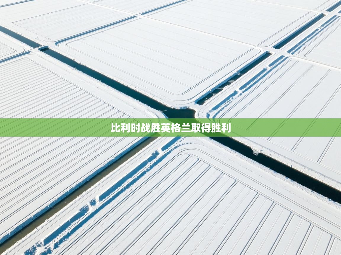 开云体育英文版入口-比利时战胜英格兰取得胜利 第1张