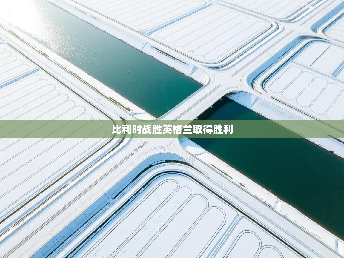 开云体育英文版入口-比利时战胜英格兰取得胜利 第3张