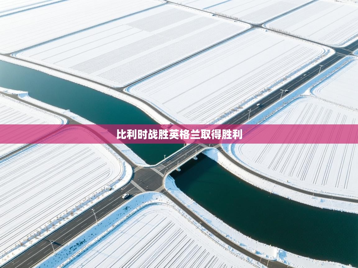 开云体育英文版入口-比利时战胜英格兰取得胜利 第2张