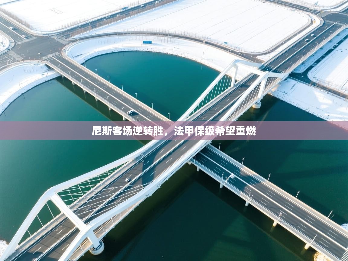 开云体育推送通知设置-尼斯客场逆转胜，法甲保级希望重燃  第1张