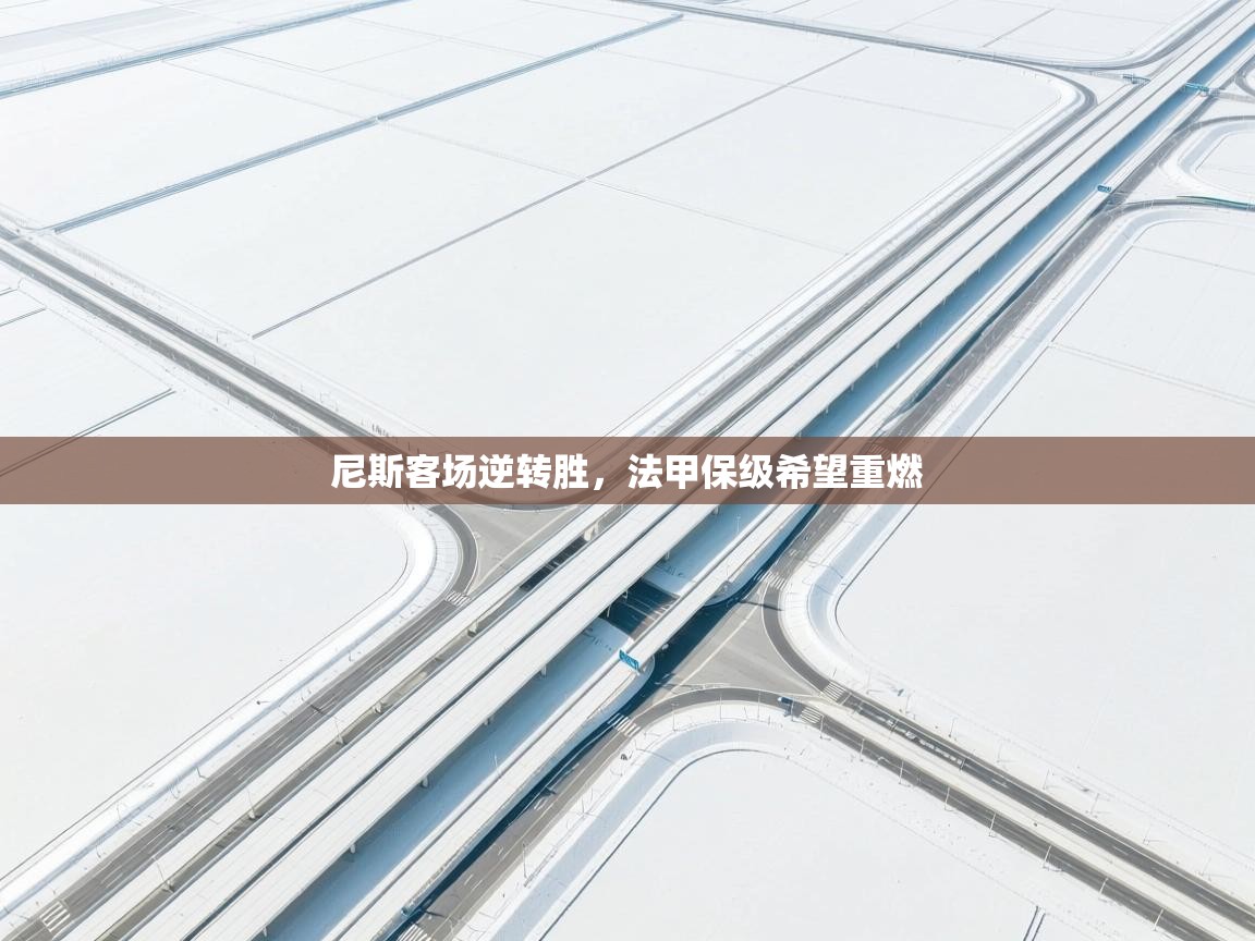 开云体育推送通知设置-尼斯客场逆转胜，法甲保级希望重燃  第2张