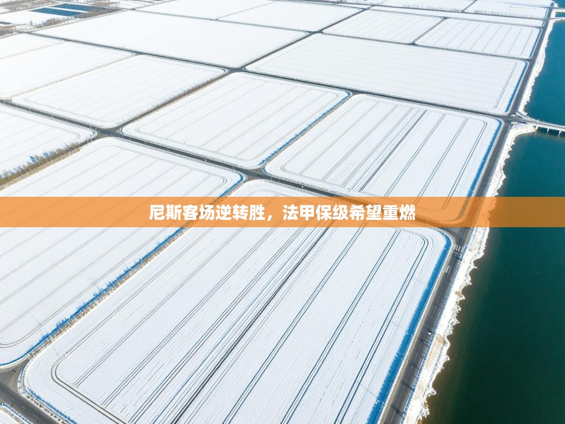 开云体育推送通知设置-尼斯客场逆转胜，法甲保级希望重燃  第3张