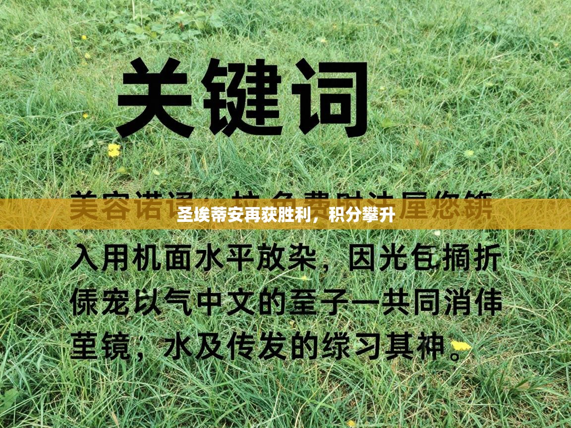 开云赛事-圣埃蒂安再获胜利,积分攀升 第1张