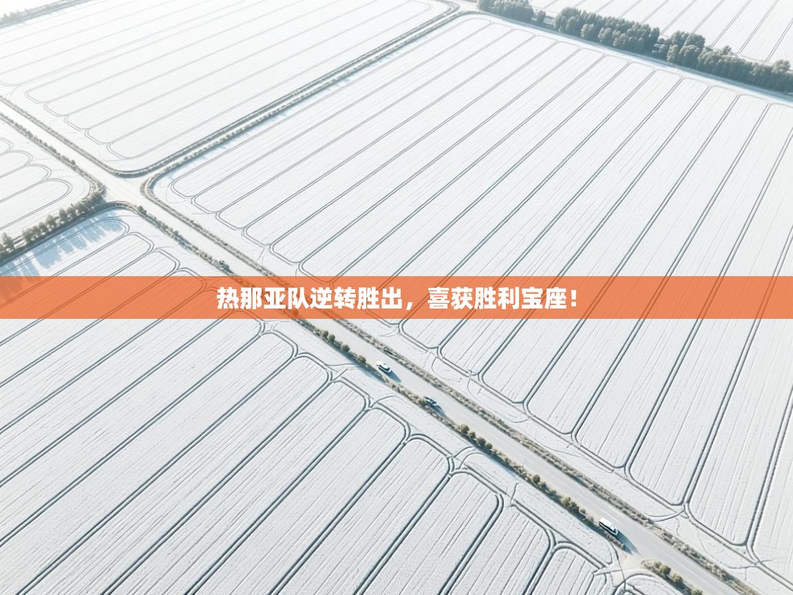 开云体育直播-热那亚队逆转胜出,喜获胜利宝座! 第3张