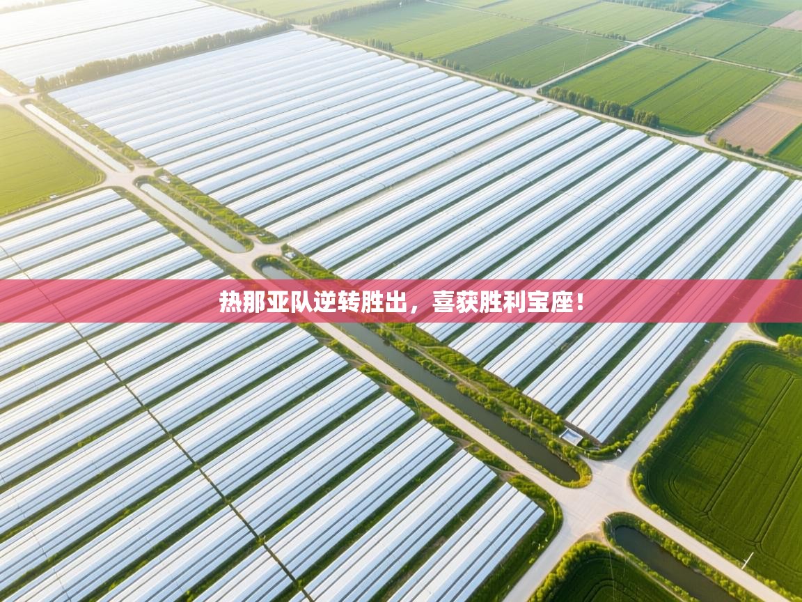 开云体育直播-热那亚队逆转胜出,喜获胜利宝座! 第4张