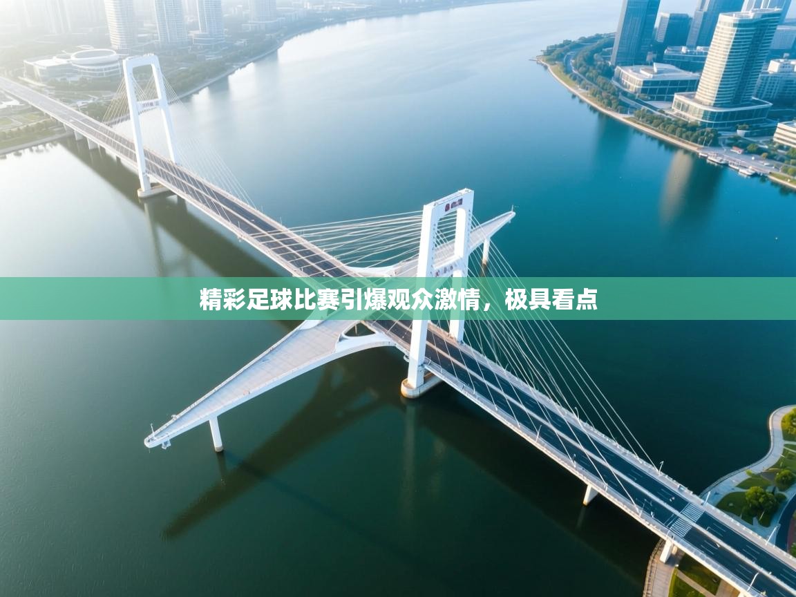 开云体育多语言中文版-精彩足球比赛引爆观众激情，极具看点  第4张