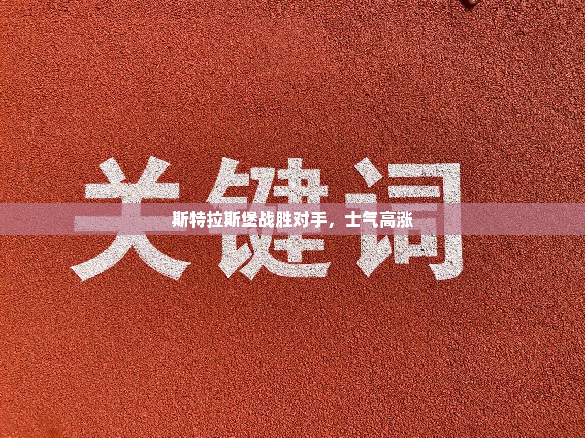 开云体育app官网入口-斯特拉斯堡战胜对手，士气高涨  第2张