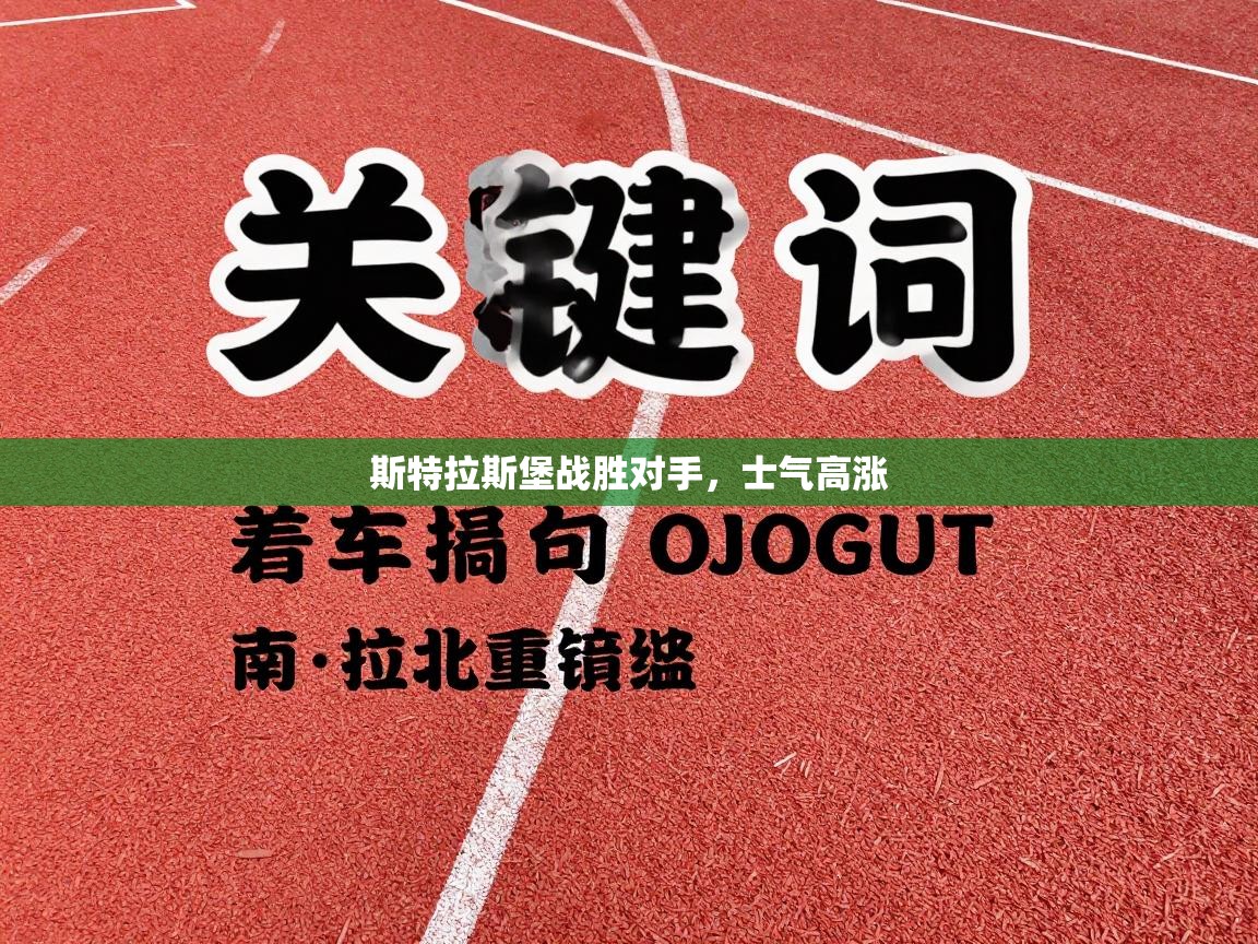 开云体育app官网入口-斯特拉斯堡战胜对手，士气高涨  第3张